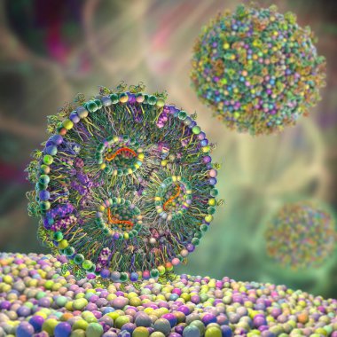 Lipid nanopartikül mRNA aşısı, Covid-19 ve gribe karşı kullanılan bir aşı türü. Virüsün mRNA 'sını taşıyan bir lipid nanopartikülünün kesitini gösteren 3D illüstrasyon (turuncu).