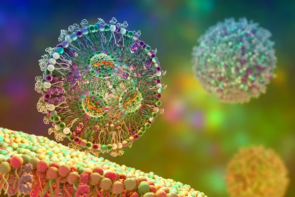 Lipid nanoparticle mRNA vaccine, a type of vaccine used against Covid-19 and influenza. 3D illustration showing cross-section of a lipid nanoparticle carrying mRNA of the virus (orange).