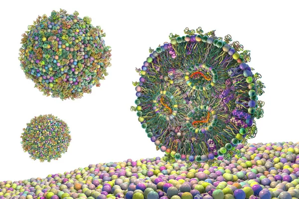 脂質ナノ粒子Mrnaワクチン 英語版 Covid 19およびインフルエンザに対して用いられるワクチンの一種 ウイルスのMrnaを運ぶ脂質ナノ粒子の断面図 オレンジ — ストック写真