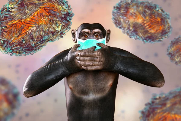 Monkey Medical Mask Closing His Face Hands Background Monkeypox Viruses — Stock Photo, Image