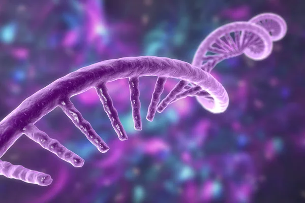 Moleculair Model Van Messenger Ribonucleïnezuur Mrna Illustratie — Stockfoto