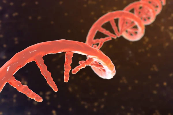 Modelo Molecular Ácido Ribonucleico Mensageiro Mrna Ilustração — Fotografia de Stock