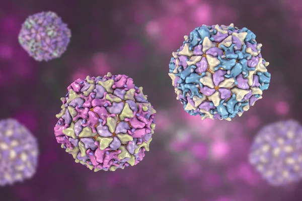 Poliovirus, an RNA virus from Picornaviridae family that causes polio disease, 3D illustration