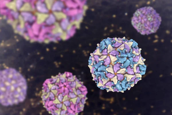 Poliovirus, an RNA virus from Picornaviridae family that causes polio disease, 3D illustration