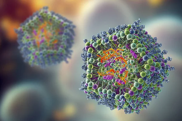 Lipid nanoparticle mRNA vaccine, a type of vaccine used against Covid-19 and influenza. 3D illustration showing cross-section of a lipid nanoparticle carrying mRNA of the virus (orange).