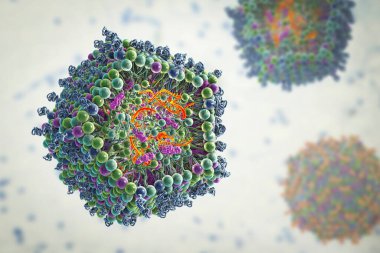Lipid nanopartikül mRNA aşısı, Covid-19 ve gribe karşı kullanılan bir aşı türü. Virüsün mRNA 'sını taşıyan bir lipid nanopartikülünün kesitini gösteren 3D illüstrasyon (turuncu).