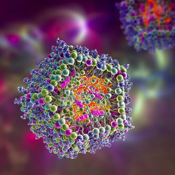 Lipid nanoparticle mRNA vaccine, a type of vaccine used against Covid-19 and influenza. 3D illustration showing cross-section of a lipid nanoparticle carrying mRNA of the virus (orange).