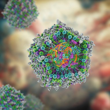 Lipid nanopartikül mRNA aşısı, Covid-19 ve gribe karşı kullanılan bir aşı türü. Virüsün mRNA 'sını taşıyan bir lipid nanopartikülünün kesitini gösteren 3D illüstrasyon (turuncu).
