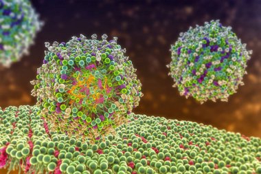Lipid nanopartikül mRNA aşısı insan hücresine giriyor. Covid-19 'a karşı kullanılan bir aşı türü. Virüsün mRNA 'sını taşıyan bir lipid nanopartikülünün kesitini gösteren 3D illüstrasyon (turuncu).
