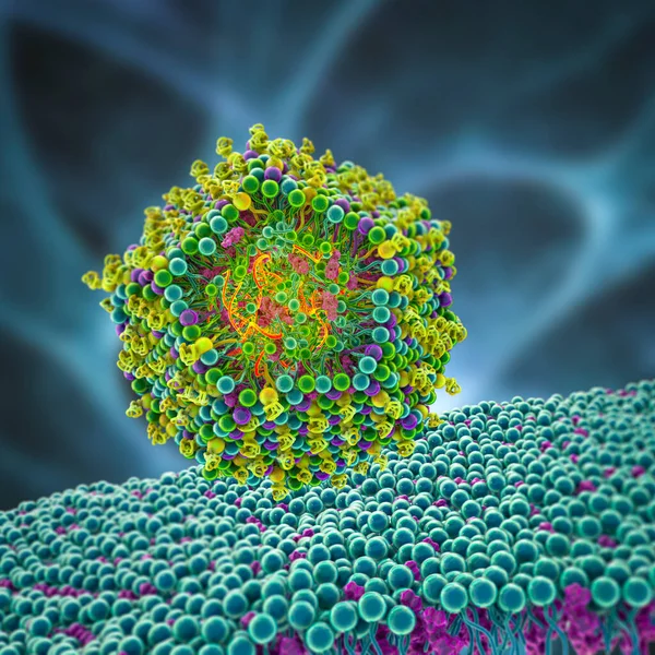 Vacuna Contra Arnm Nanopartículas Lipídicas Que Entra Una Célula Humana — Foto de Stock