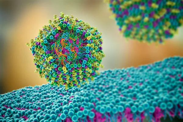 Vaccino Lipidico Nanoparticella Mrna Che Entra Una Cellula Umana Tipo — Foto Stock