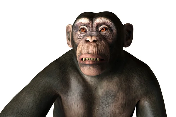 動揺顔の表現 概念的な3Dイラストを持つ猿 天然痘の意識 — ストック写真
