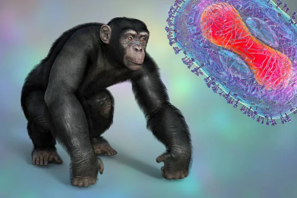 Мавпа Шимпанзе Оточена Вірусами Віспи Мавпи Концептуальна Ілюстрація Концепція Обізнаності — стокове фото