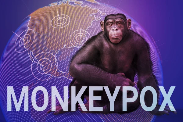 Consciência Varíola Macaco Sentado Mapa Terra Com Texto Monkeypox Ilustração — Fotografia de Stock