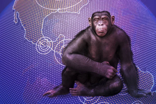 Consciência Varíola Macaco Sentado Mapa Terra Ilustração Conceitual — Fotografia de Stock