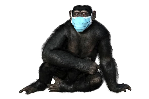 배경에 고립된 의료용 마스크를 원숭이 개념적 수두에 — 스톡 사진
