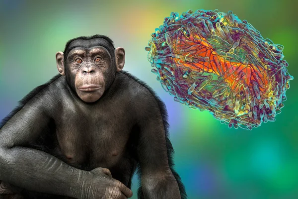 Schimpansenaffe Umgeben Von Pockenviren Konzeptionelle Illustration Konzept Zur Sensibilisierung Der — Stockfoto