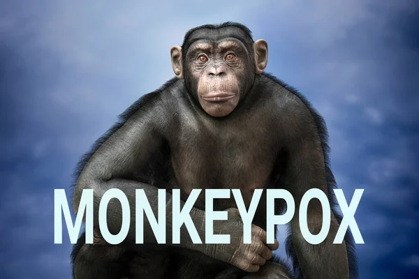Macaco Chimpanzé Texto Varíola Ilustração Conceitual Conceito Consciência Varíola — Fotografia de Stock
