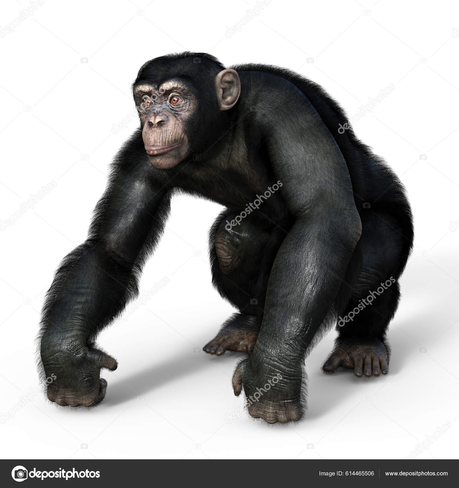 Fundo Divertida Ilustração 3d De Um Macaco Branco Fundo, Chimpanzé, Macaco,  Ilustração De Macaco Imagem de plano de fundo para download gratuito