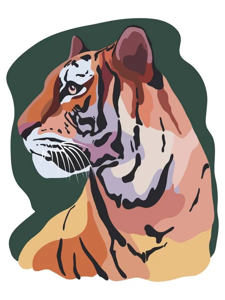 Tigre Dessin Main Illustration Isolé Gros Chat Sauvage Faune Vue — Image vectorielle