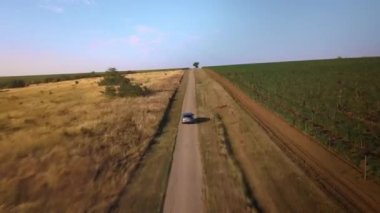 Vrsac 'ın kırsalındaki güzel üzüm bağlarında gezinen bir arabanın arkasından insansız hava aracı vuruldu.