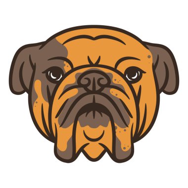 Bull dog head vector illustration, bull dog head logo