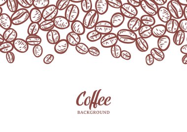 Hand drawn background with coffee beans, Vector coffee background design