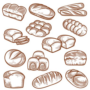 Hand drawn bread and bakery vector illustration line art black and white, Vintage food illustration