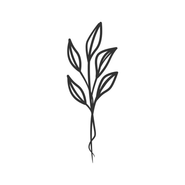 Pflanze Kontinuierliche Linienzeichnung Abstrakte Pflanzenblätter Durchgehender Linienzeichnung — Stockvektor