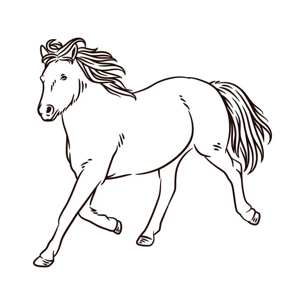 Vektorová Ilustrace Koňské Linie Running Horse Line Art — Stockový vektor
