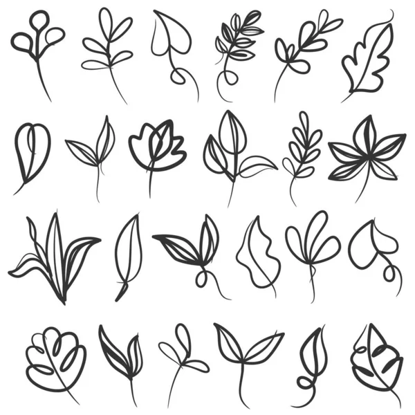 Набор Ботанической Линии Искусства Цветочные Листья Растения Ручной Рисунок Ветвей — стоковый вектор