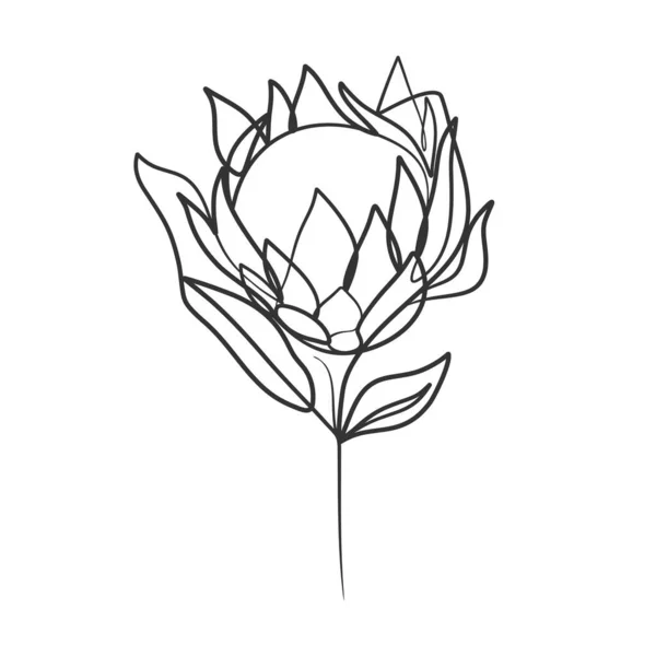シンプルな花のイラストの連続線画 線画で抽象花を描く — ストックベクタ
