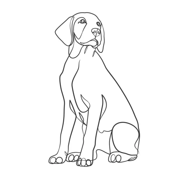 Ununterbrochene Linienzeichnung Eines Hundes Hund Eine Linie Zeichnen Minimalistischen Stil — Stockvektor