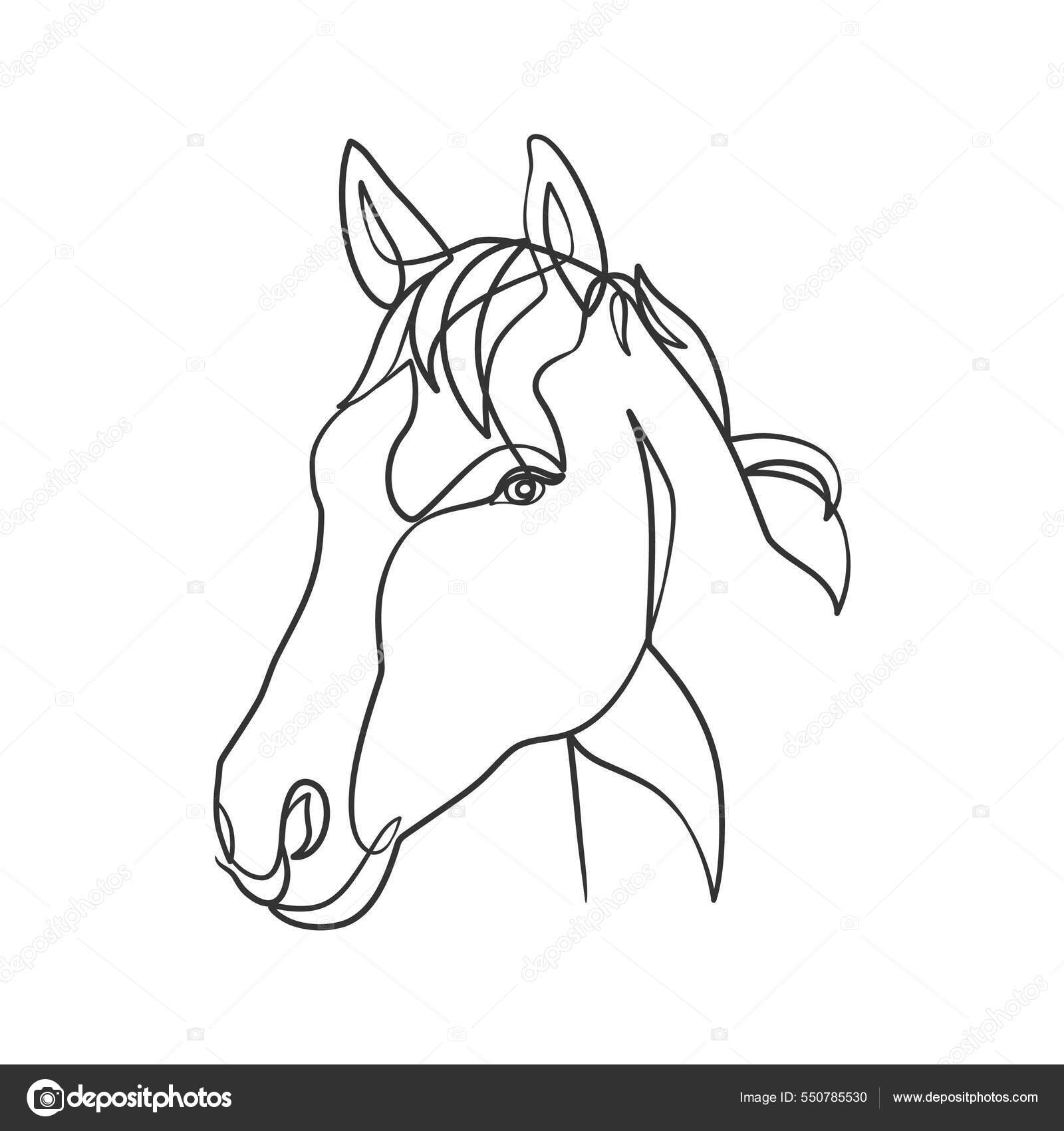 Desenho Linha Contínua Cabeça Cavalo Cabeça Cavalo Desenho Linha Design  imagem vetorial de hendripiss© 550785530