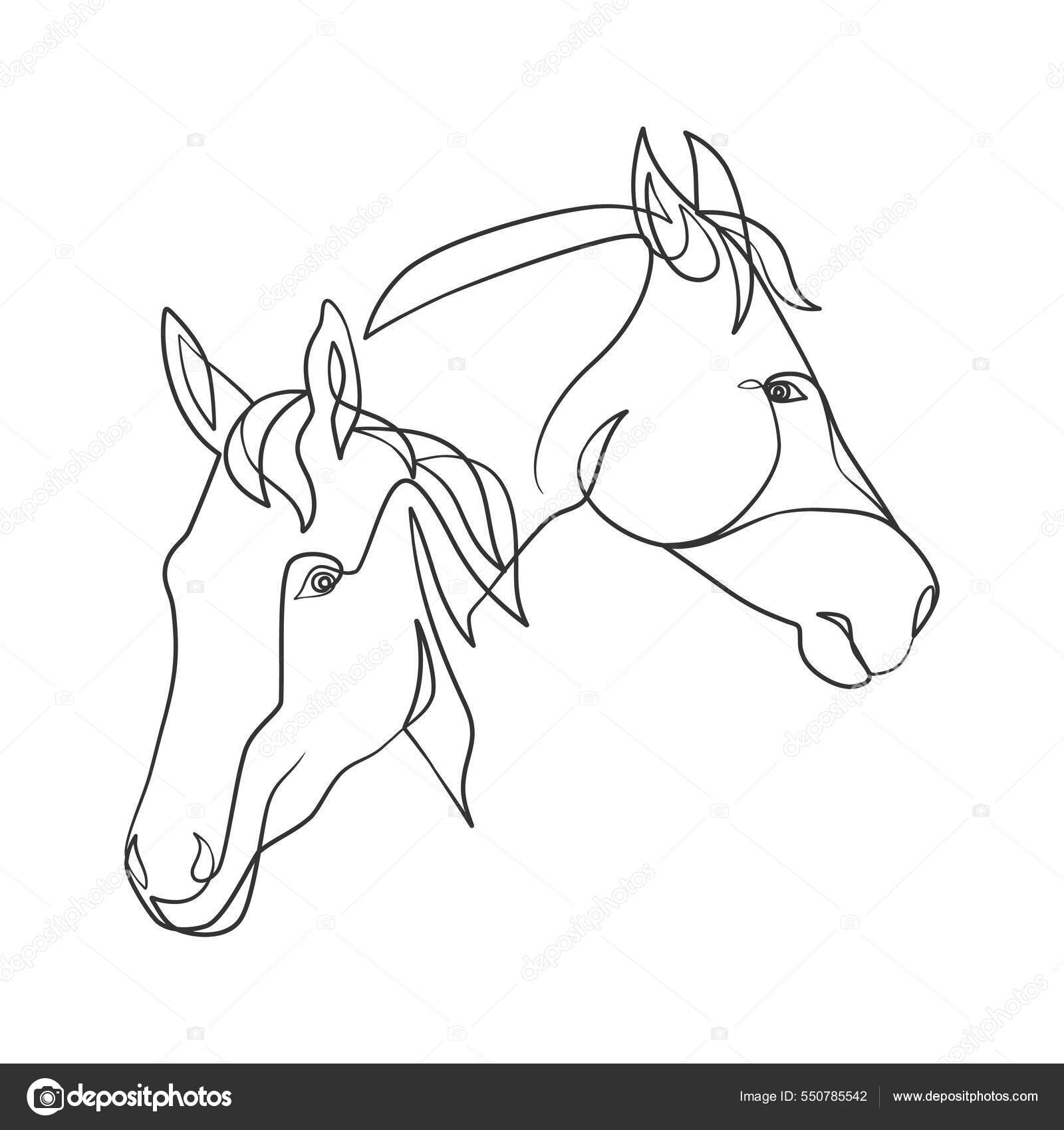 Como desenhar um cavalo [2022] Passo a passo - Desenhos Para Desenhar