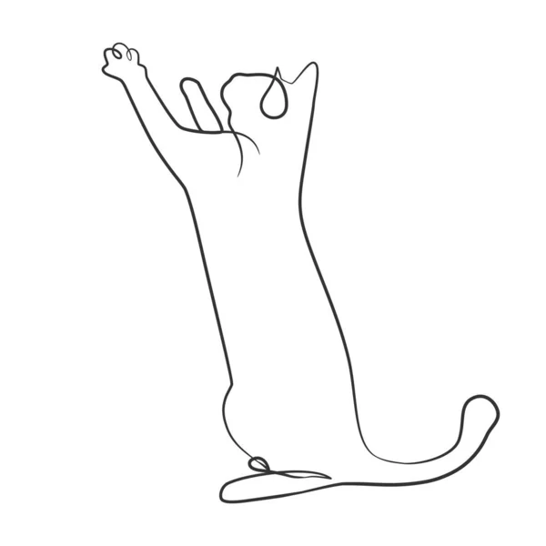 Garis Terus Menerus Gambar Kucing Lucu Cat Satu Baris Menggambar - Stok Vektor