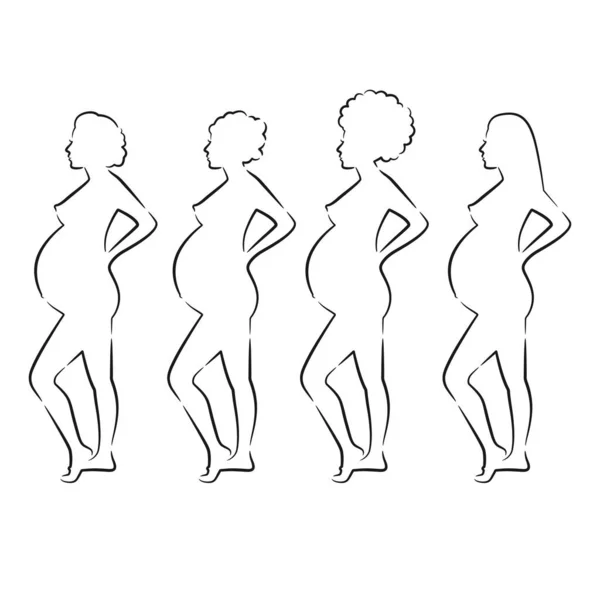 Line Art Pregnant Women Vector Illustration — Stock Vector