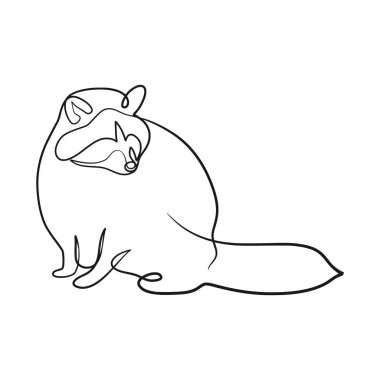 Raccoon continuous line art drawing. One line art design of raccoon, Funny raccoon animal