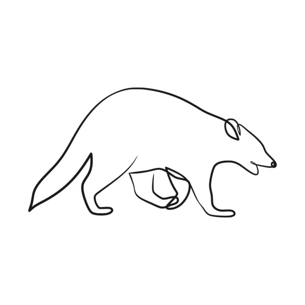 Raccoon Continuous Line Art Drawing One Line Art Design Raccoon — стоковый вектор