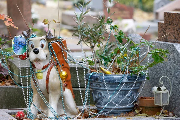 Cementerio Animales Asnieres Tumba Perro Francia — Foto de Stock