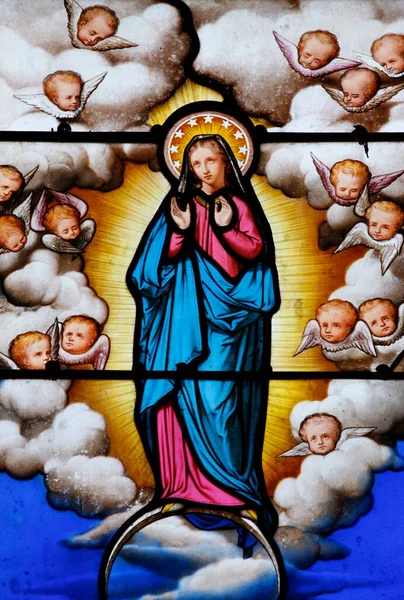 Glasmalerei Der Kathedrale Von Saint Louis Jungfrau Maria Frankreich — Stockfoto