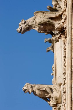 Amiens Katedrali. Gargoyle 'lar mavi gökyüzüne karşı. Fransa. 