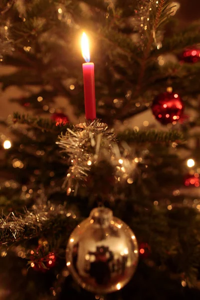 Рождественская Елка Доме Франция — стоковое фото