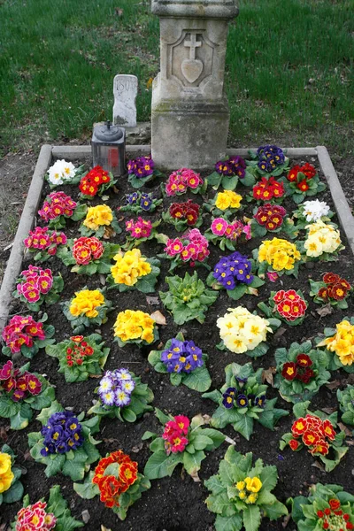 Des Fleurs Sur Une Tombe Cimetière Autriche — Photo