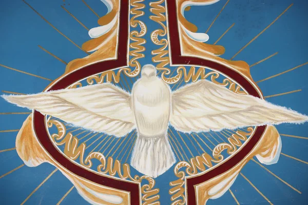 Symbol Gołębia Świętego Ducha Brazzaville Przewodniczący — Zdjęcie stockowe
