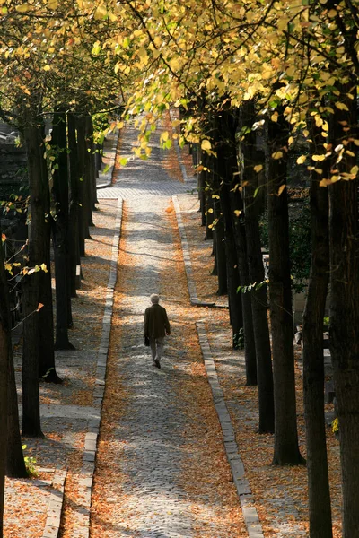 Пере Лашез Кладовище Жінка Йде Пішки Франція — стокове фото