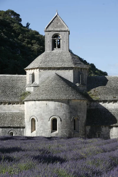 Notre Dame Senanque Μονή Chevet Εκκλησία Γαλλία — Φωτογραφία Αρχείου