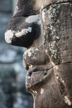 Angkor Thom 'daki Bayon Tapınağı' nda bulunan taş, 7. Jayavarman 'ı bir vücut savaşçısı olarak tasvir edebilir.