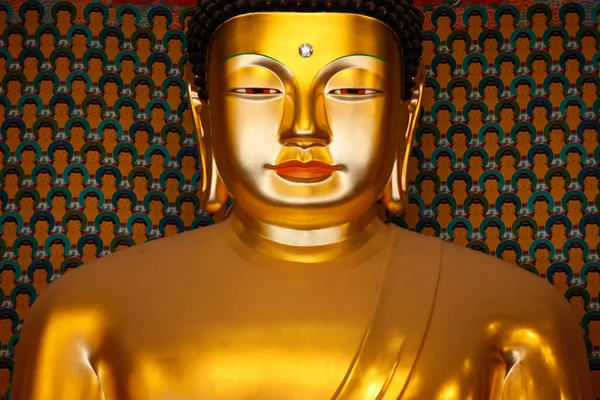Будда Сакьямуни Джоджиси Храм Главный Зал Южная Корея — стоковое фото