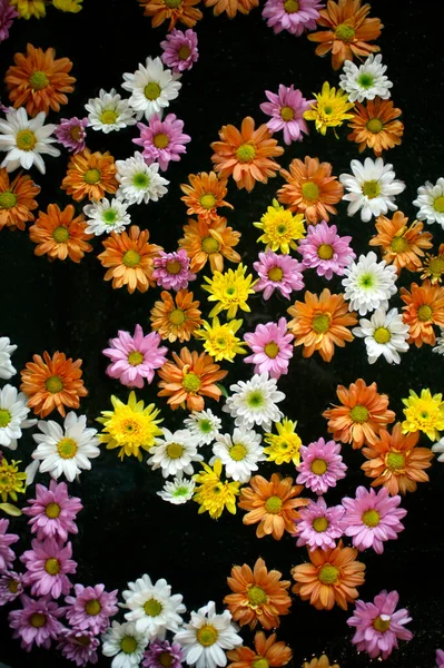 Färgade Blommor Vatten Ett Spa Oman — Stockfoto